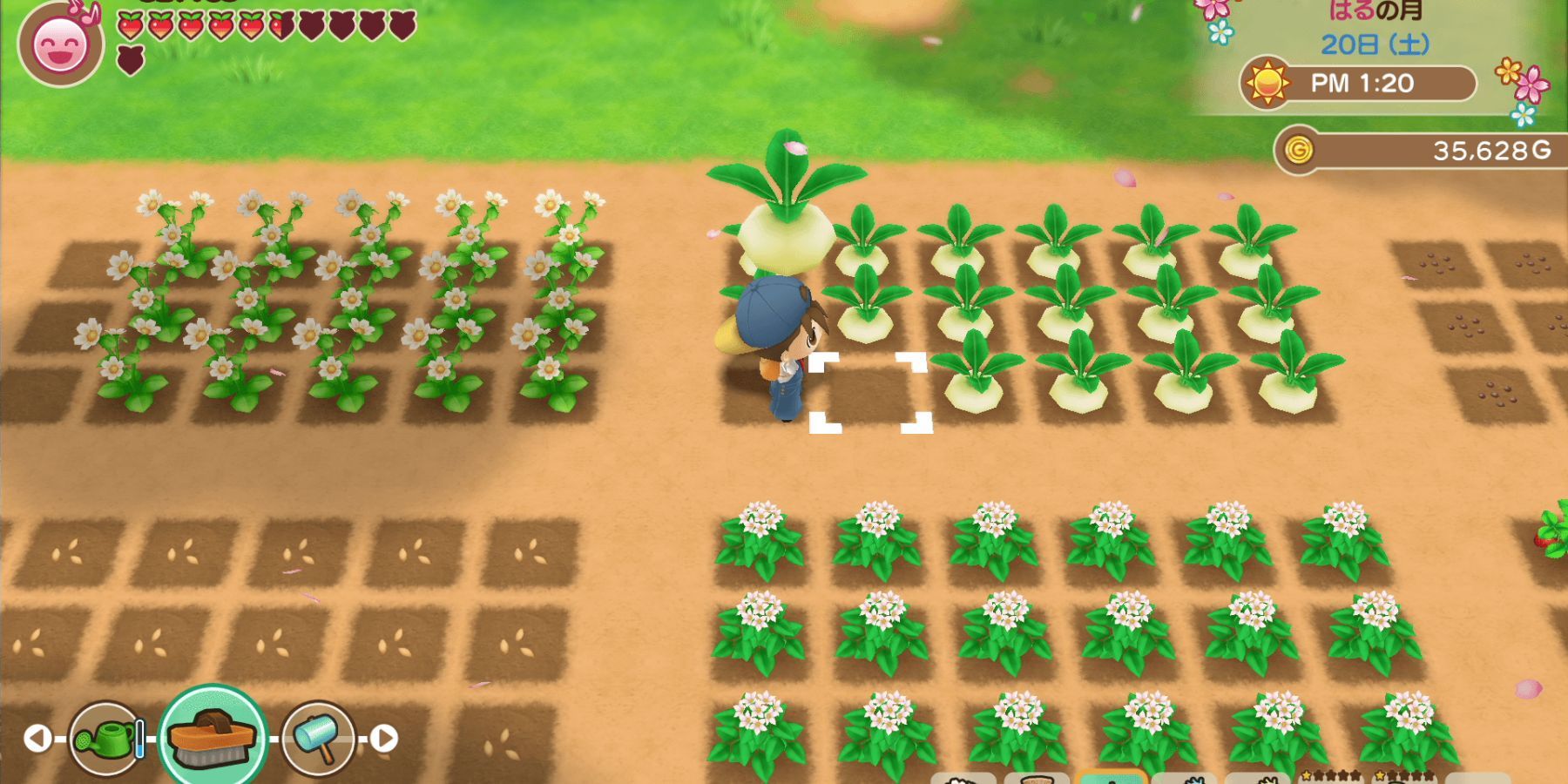 Player uprooting turnips on their farm