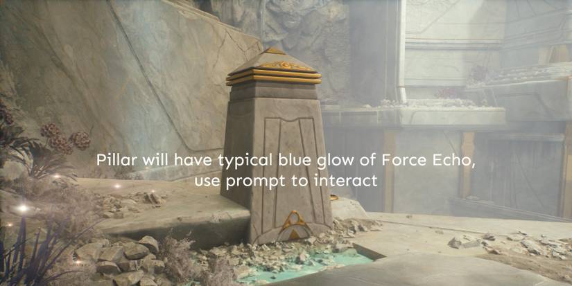 SWJS-Audience-Chamber-Echo