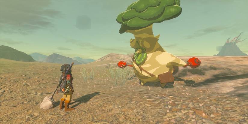 Talking to Hestu in The Legend of Zelda Tears of the Kingdom