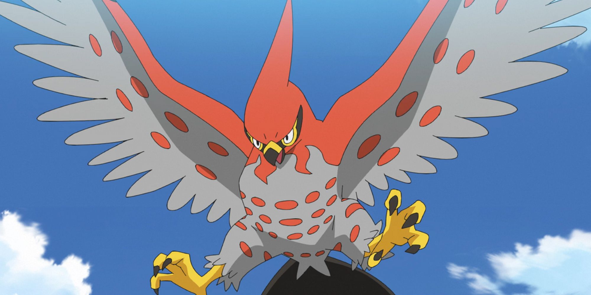 Talonflame In The Pokemon Anime