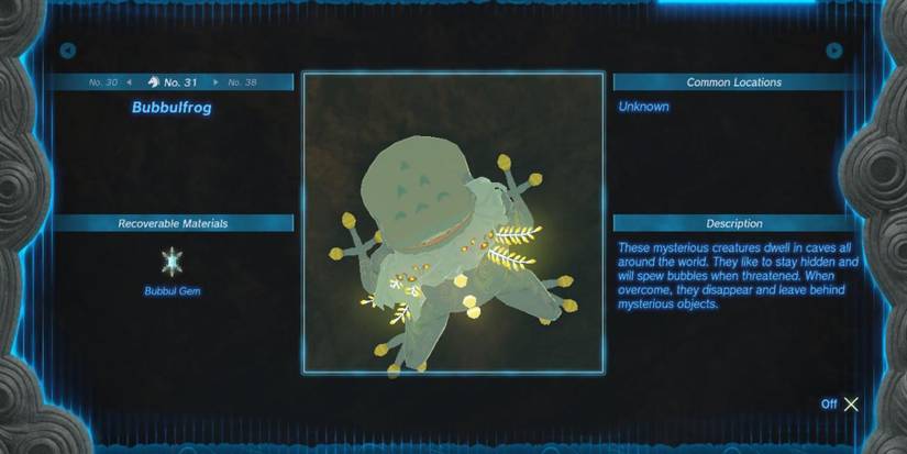 Tears of the Kingdom Bubbulfrog