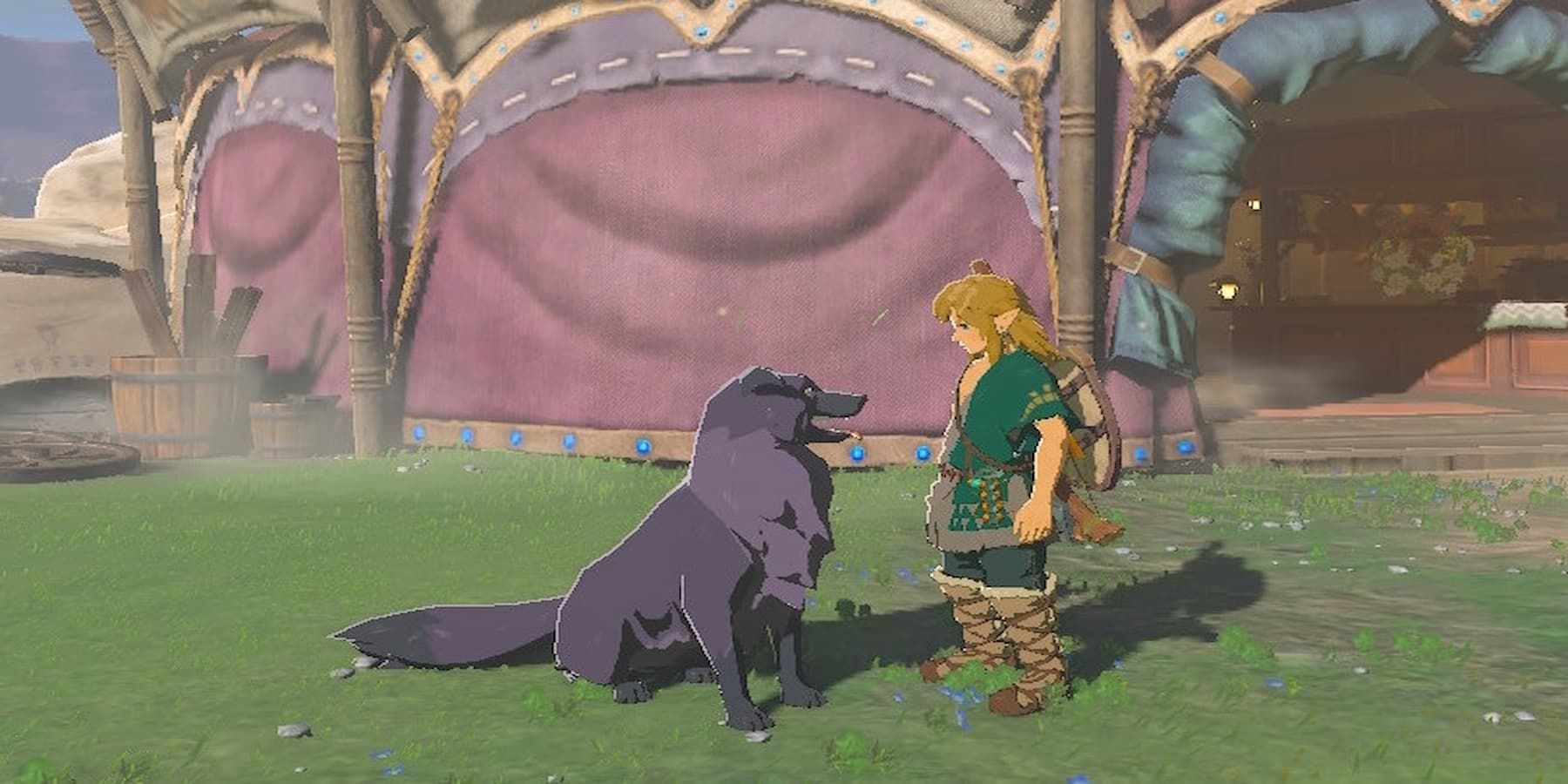 Zelda: Tears of the Kingdom - Can You Pet Animals?