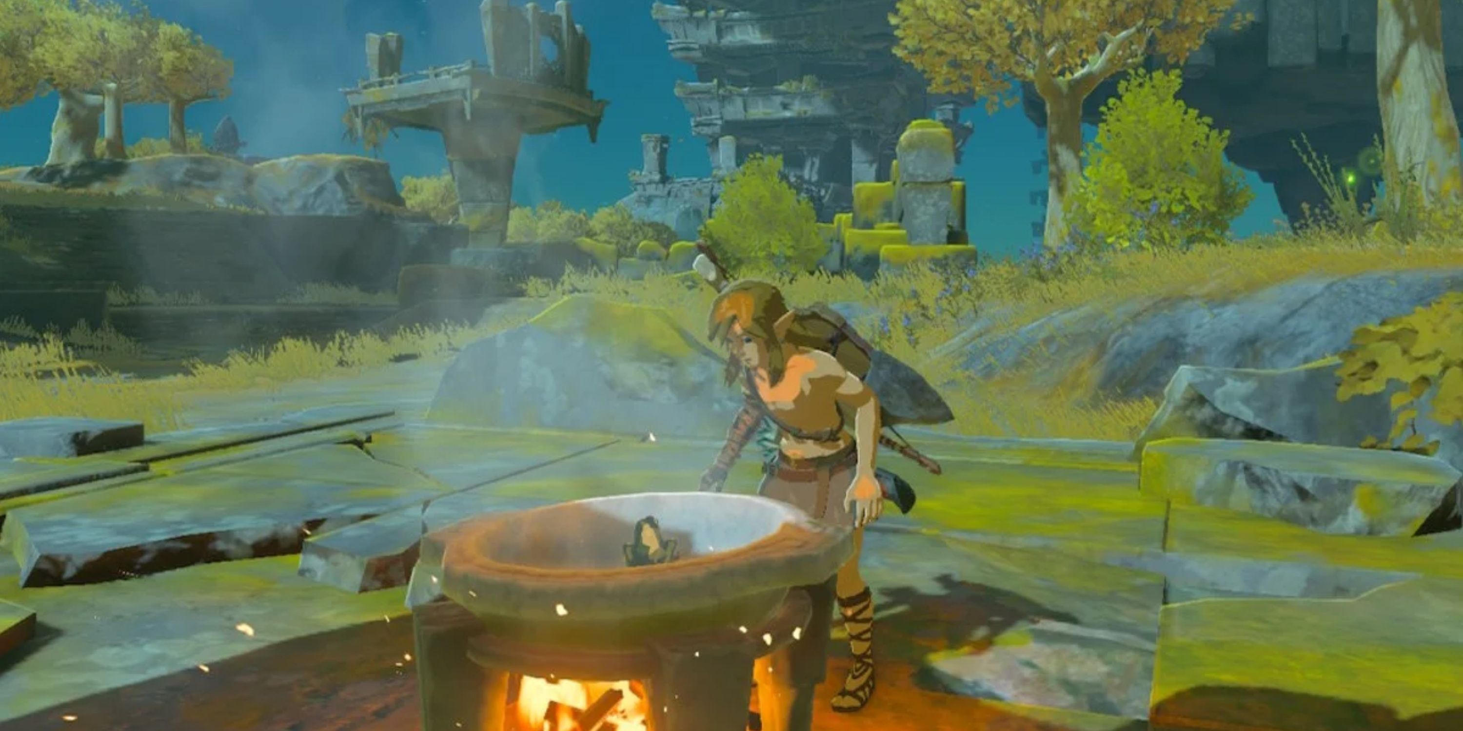 Link always has been a bit of a foodie