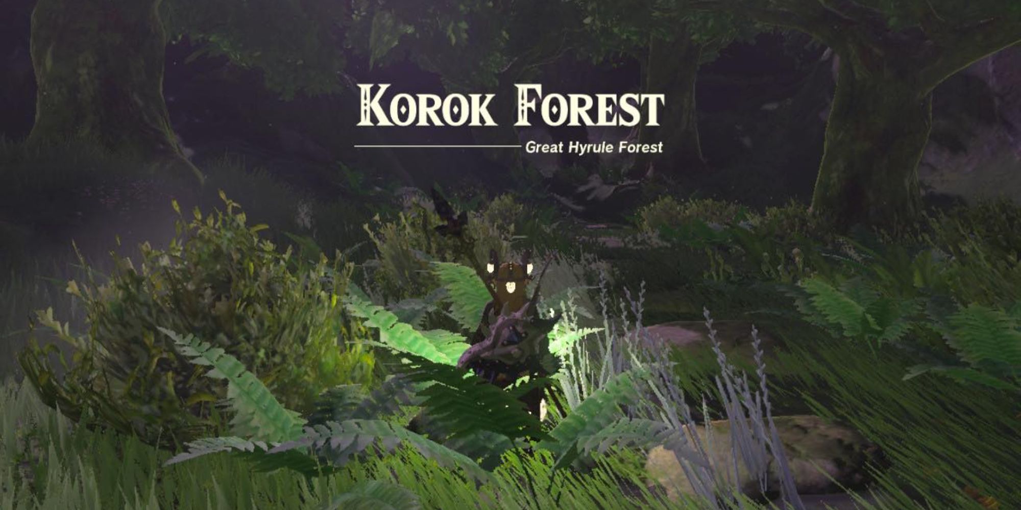 Tears of the Kingdom of Korok Forest