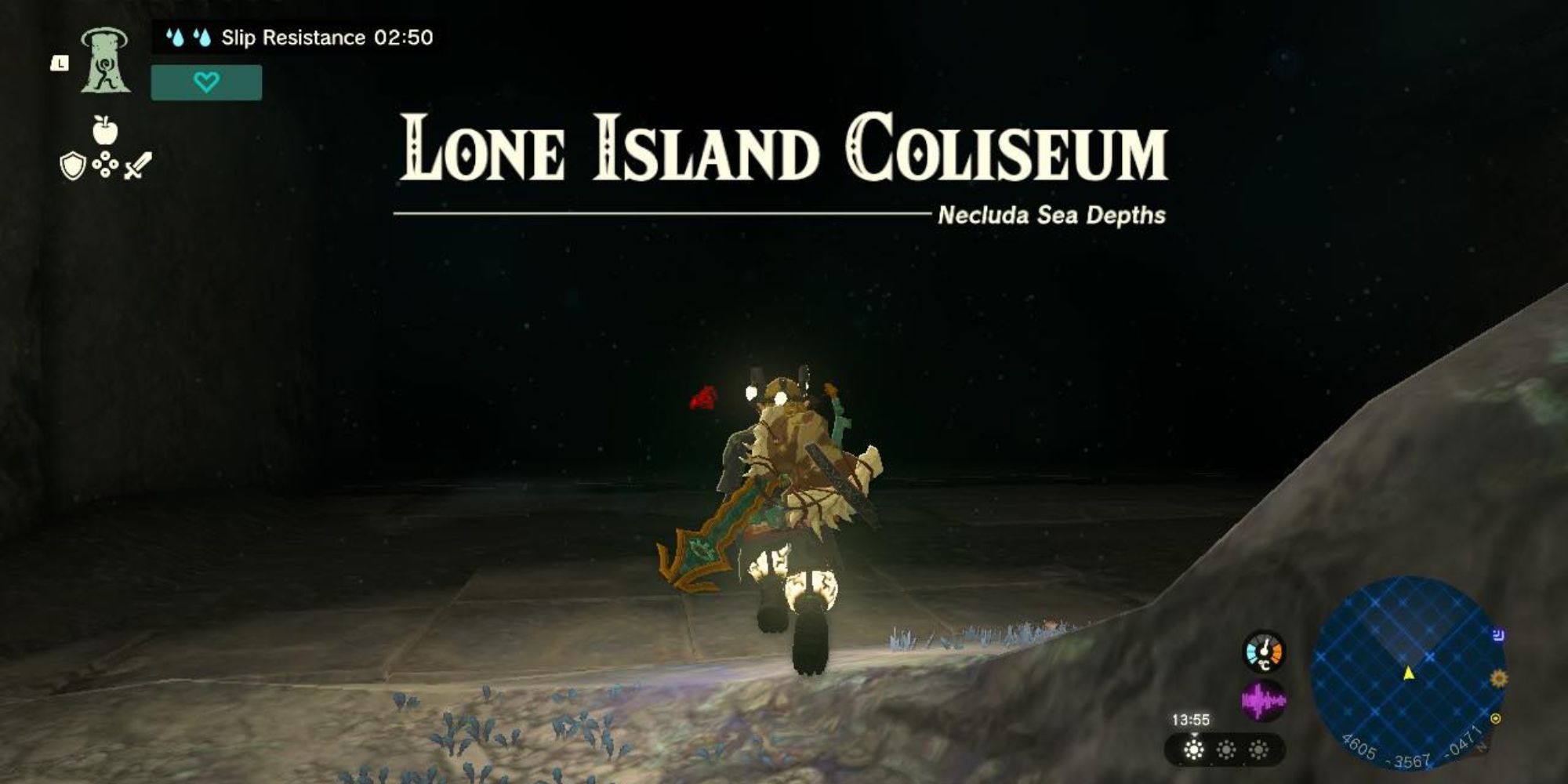 Tears of the Kingdom Lone Island Coliseum