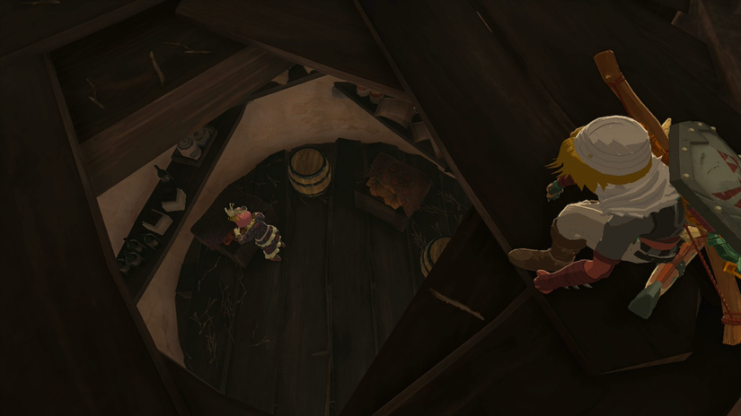 zelda tears of the kingdom cece reede election hateno village