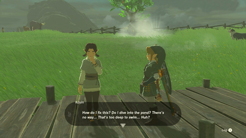 zelda tears of the kingdom koyin