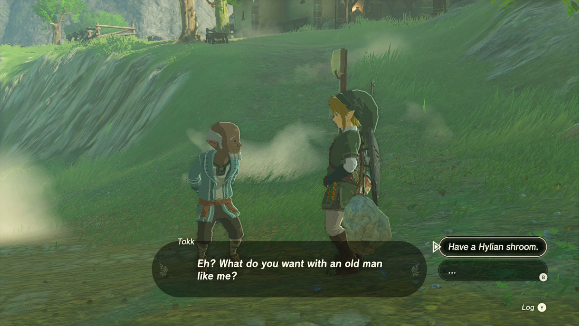 Zelda: Tears of the Kingdom - How to Complete the Hateno Election ...