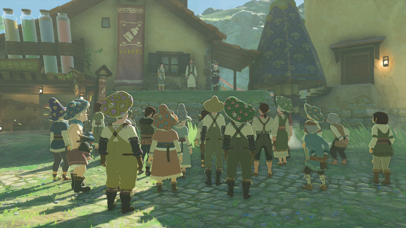 zelda tears of the kingdom cece reede election hateno village