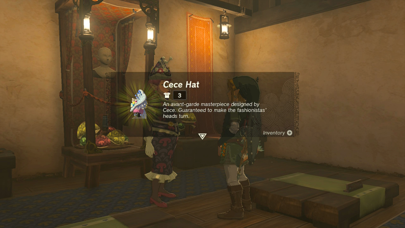 zelda tears of the kingdom cece reede election hateno village