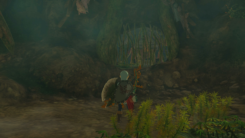 zelda tears of the kingdom fierce deity armor set misko treasure boots location ancient tree stump cave