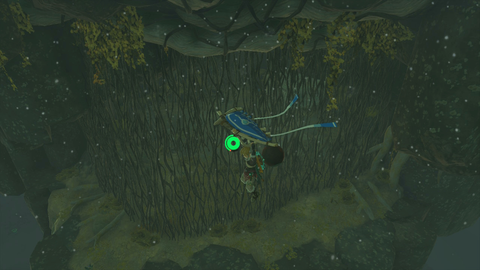 zelda tears of the kingdom taninoud shrine crystal location