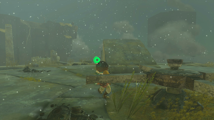 zelda tears of the kingdom taninoud shrine turn wheel