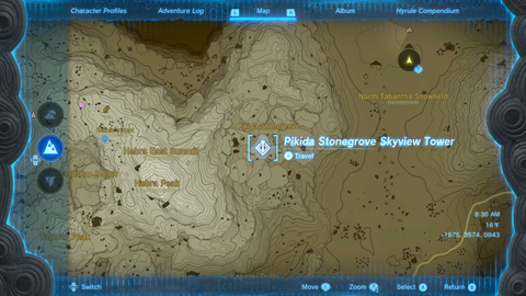 zelda tears of the kingdom pikida stonegrove skyview tower