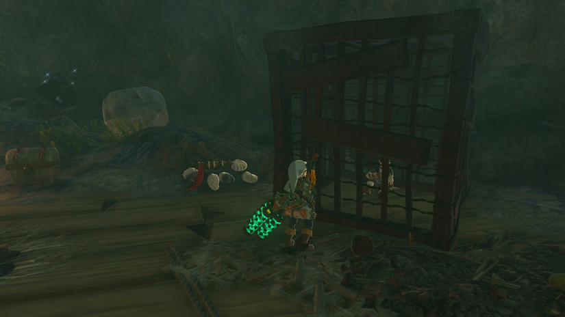 zelda tears of the kingdom maoikes shrine caged hylian