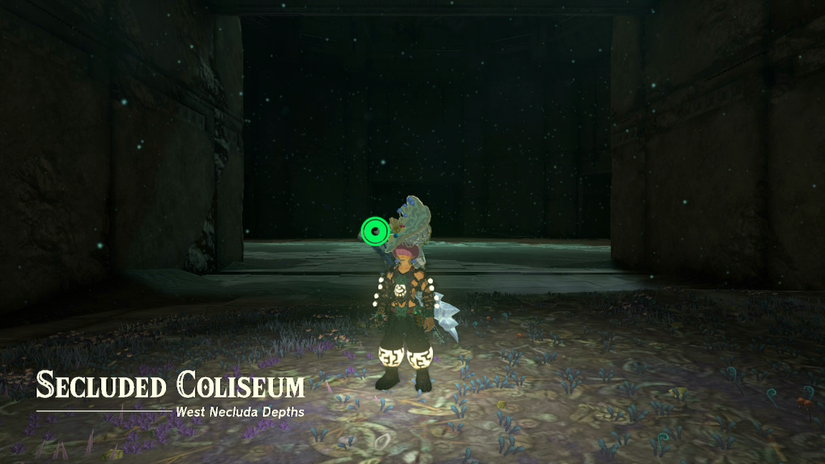 zelda tears of the kingdom ravio's hood secluded coliseum