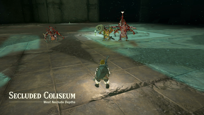 zelda tears of the kingdom ravio's hood gloom lizalfos