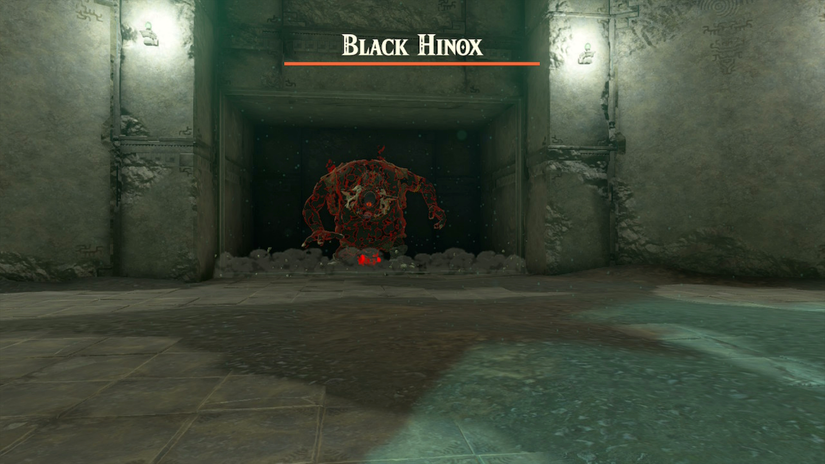 zelda tears of the kingdom korok mask black hinox
