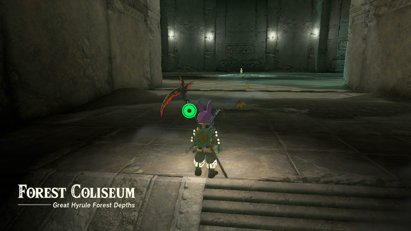 zelda tears of the kingdom korok mask coliseum bananas