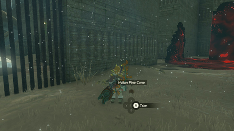 zelda tears of the kingdom north lomei prophecy pine cone trail