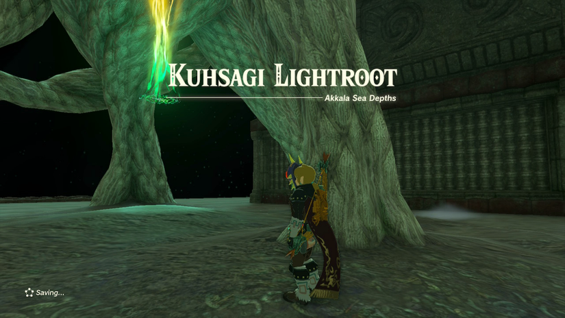 zelda tears of the kingdom kuhsagi lightroot