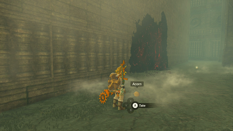 zelda tears of the kingdom south lomei prophecy