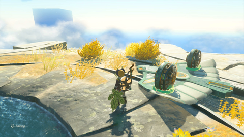 zelda tears of the kingdom south lomei prophecy castle top floor