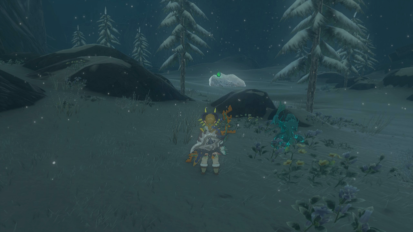 zelda tears of the kingdom sisuran shrine