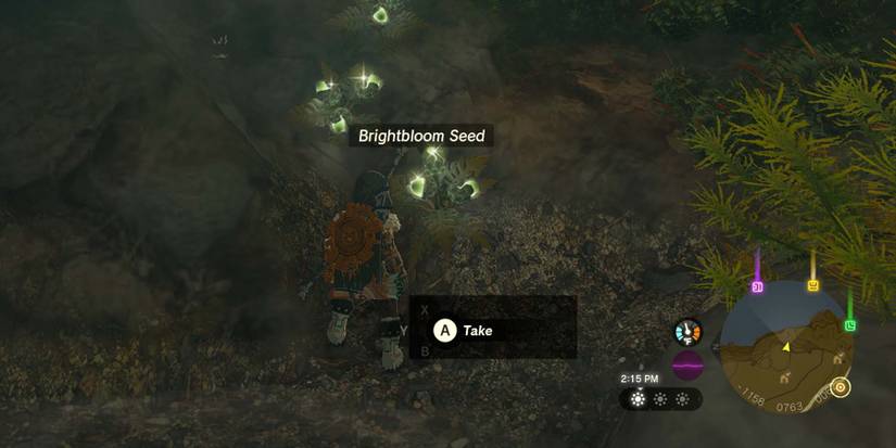 TearsOfTheKingdomBrightbloomSeed