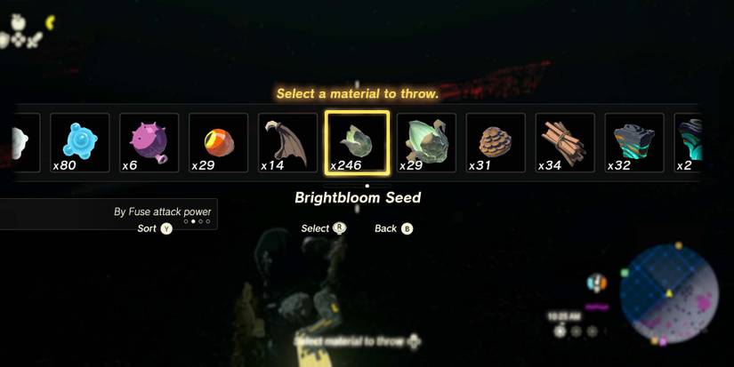 TearsOfTheKingdomBrightbloomThrow