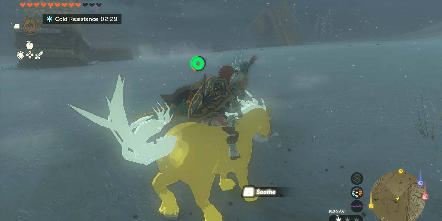 Zelda’s Golden Horse