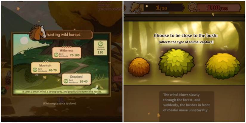 Territories and bushes in Volcano Princess