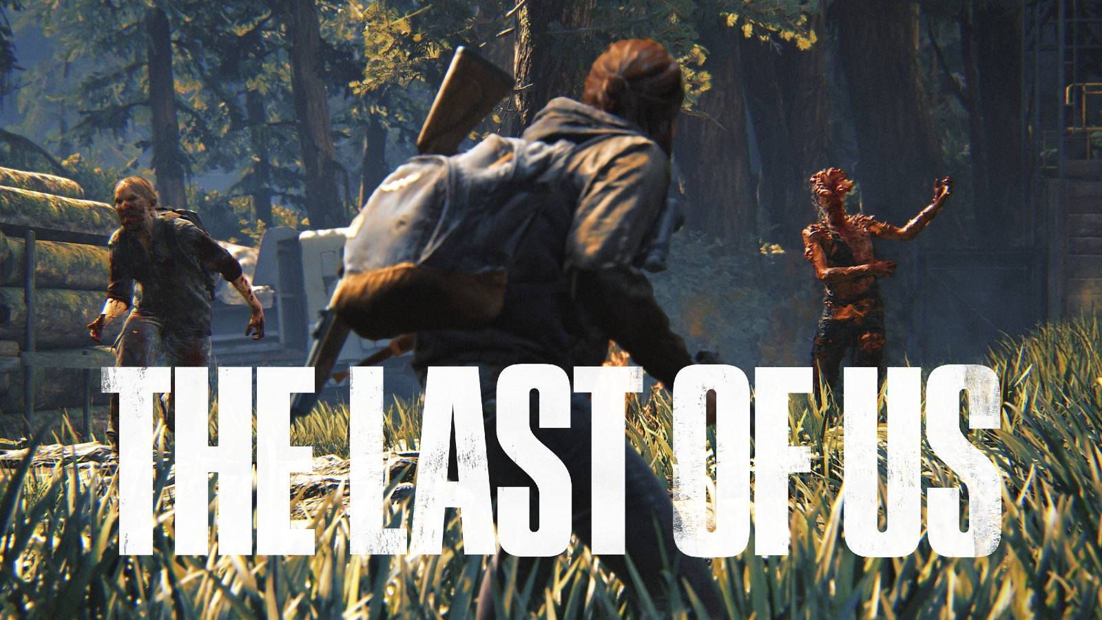 the last of us multiplayer collectibles