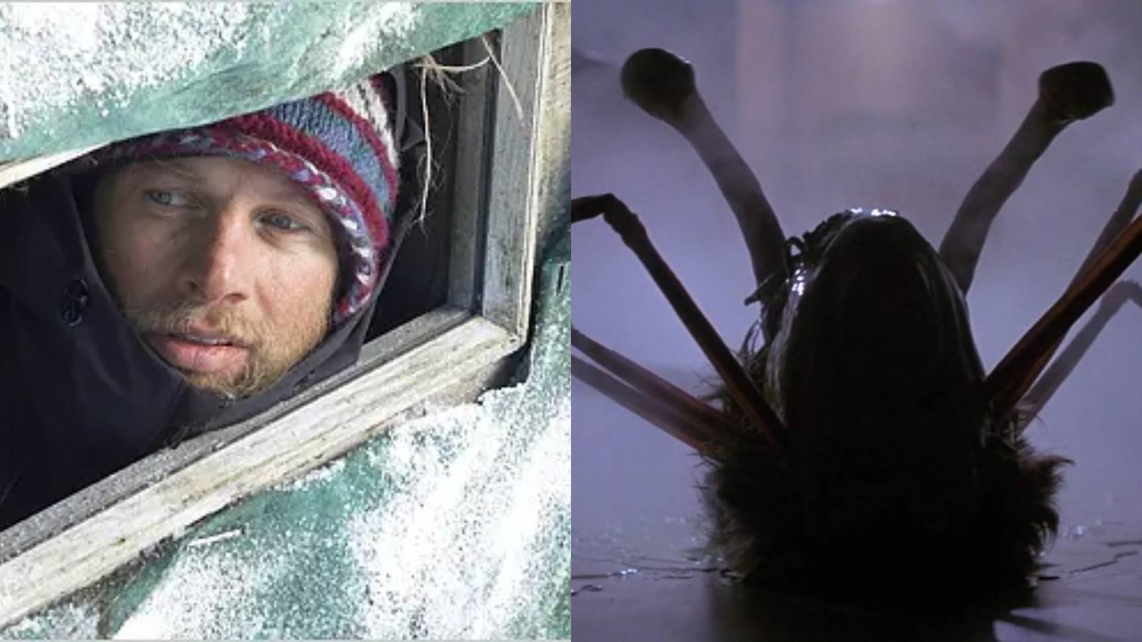 Split image of The Last Winter and The Thing