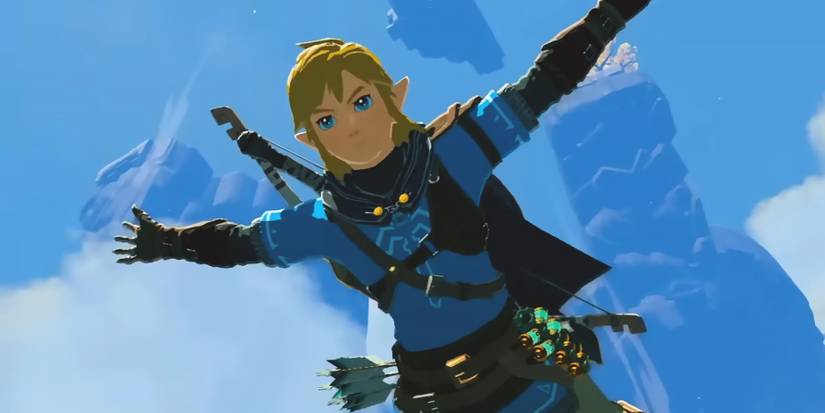 The Legend of Zelda Tears of the Kingdom Link freefall