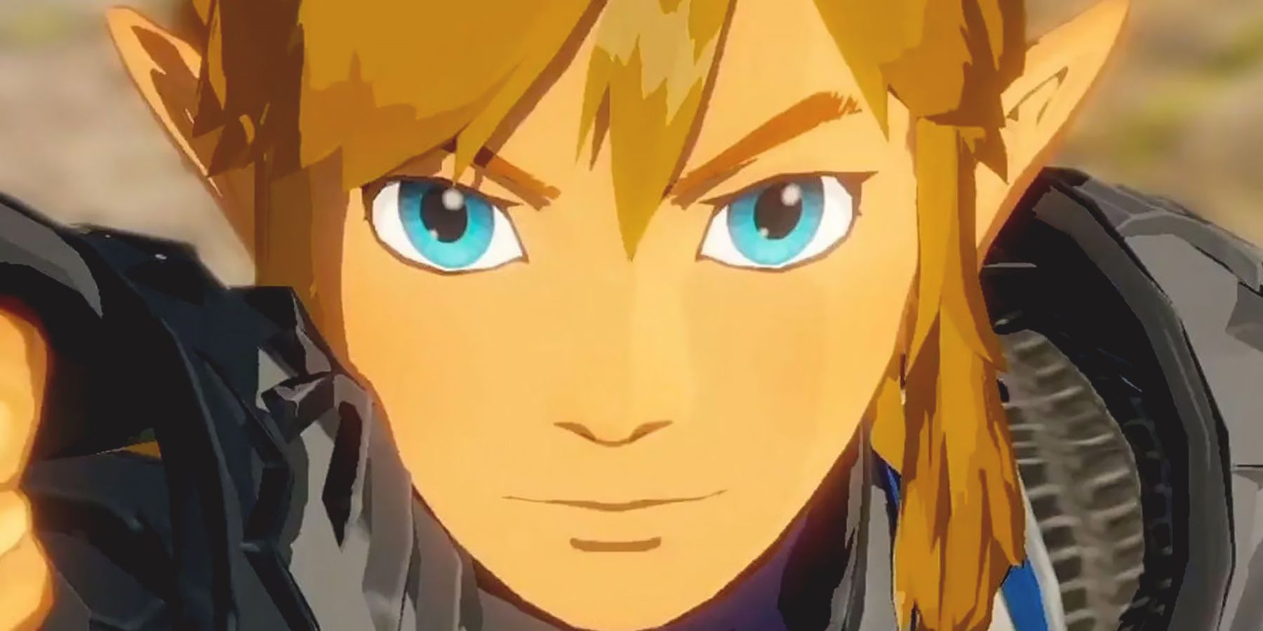 The Legend of Zelda Tears of the Kingdom TOTK Link smiling close-up
