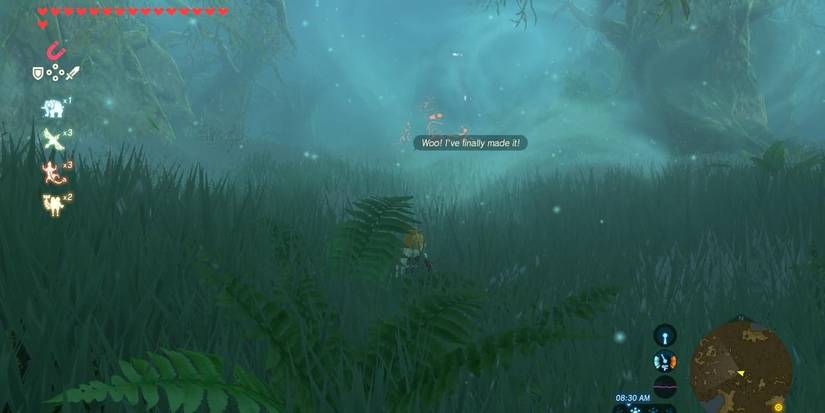 The Lost Pilgrimage Shrine Quest in Breath of the Wild
