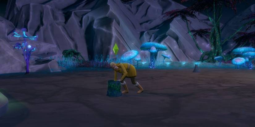 the sims 4 sim foraging on sixam