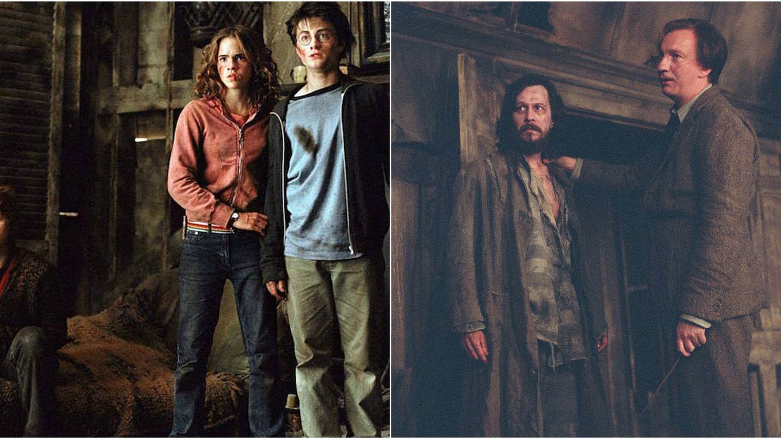 Split image of the Trio, Sirius Black, and Remus Lupin in Harry Potter and the Prisoner of Azkaban.
