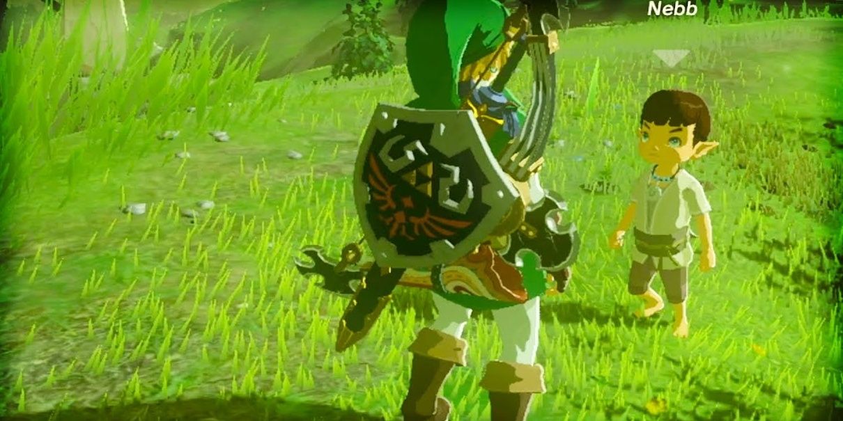 The Weapon Connoisseur in Breath of the Wild