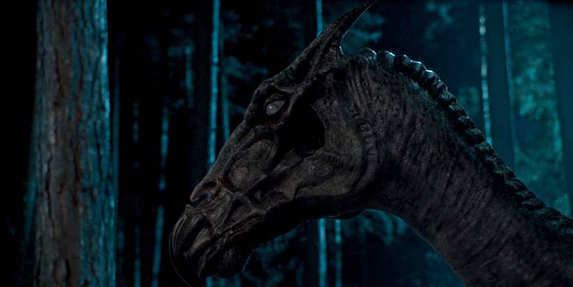 thestrals in Harry Potter