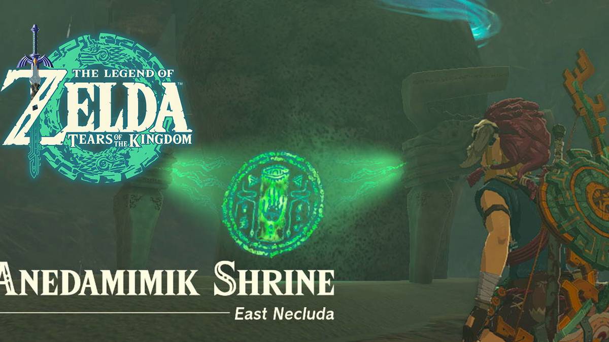 totk-anedamimik-header