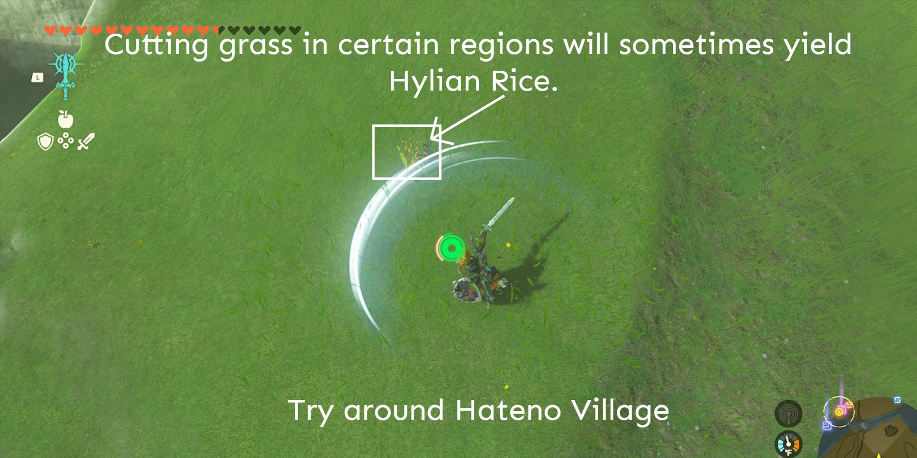TotK Farming Hylian Rice
