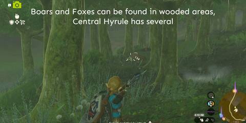 TotK-Forest-Time-Boar