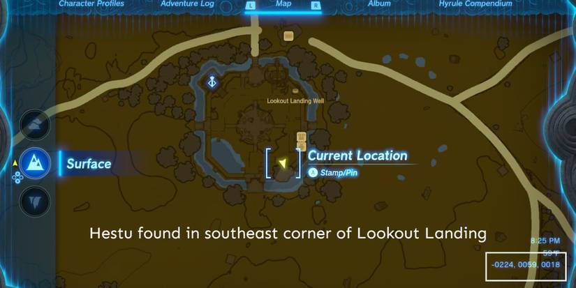 TotK-Hestu-Lookout-Map