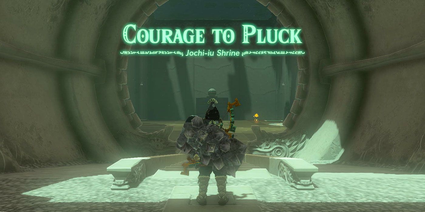 Zelda: Tears of the Kingdom - Jochi-iu Shrine Walkthrough (Courage to Pluck)