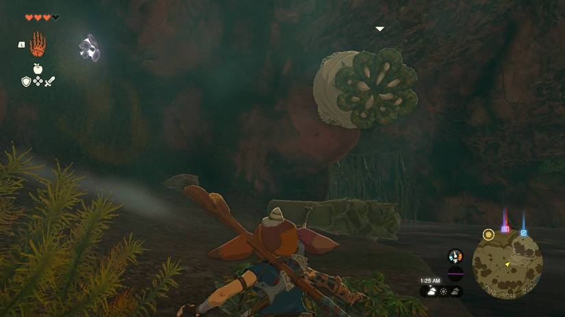 totk-more-like-dislike-dislike