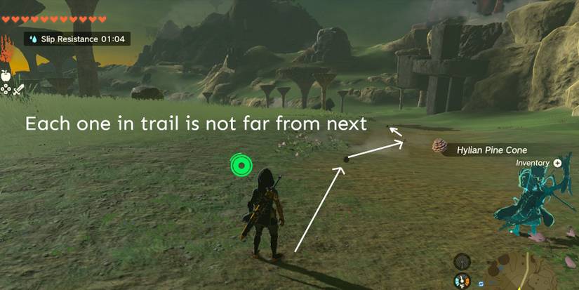 TotK-Pine-Cone-Trail