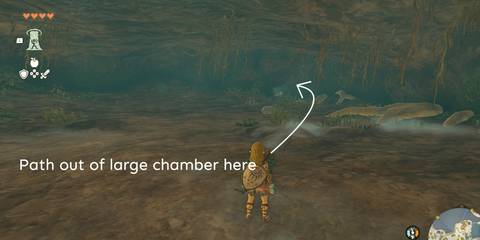 TotK-Poolside-Cave-Path-1