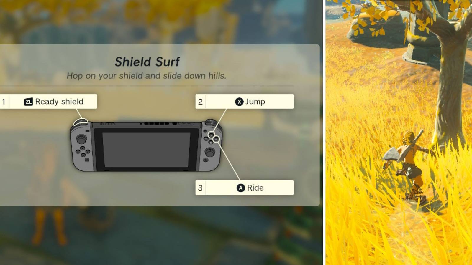 totk shield surf feature